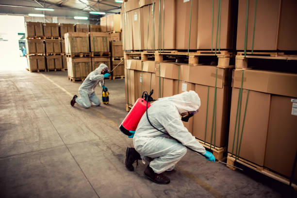 Best Local Pest Control Services  in West Chatham, MA