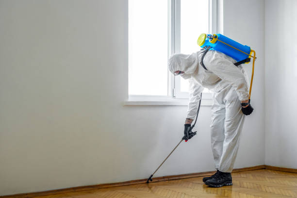 Best Pest Removal Services  in West Chatham, MA