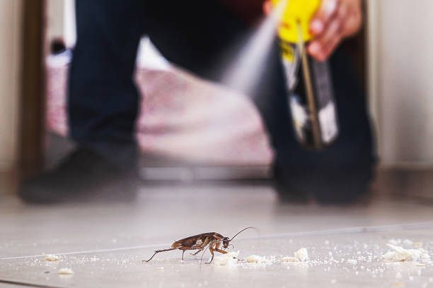 Best Emergency Pest Control  in West Chatham, MA