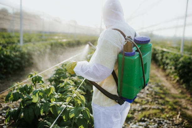 Reliable West Chatham, MA Pest Control Solutions